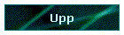 Upp